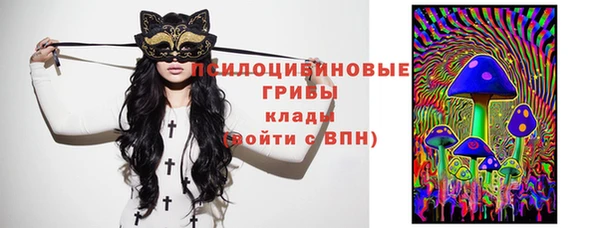 гашик Медвежьегорск
