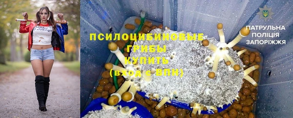 гашик Медвежьегорск